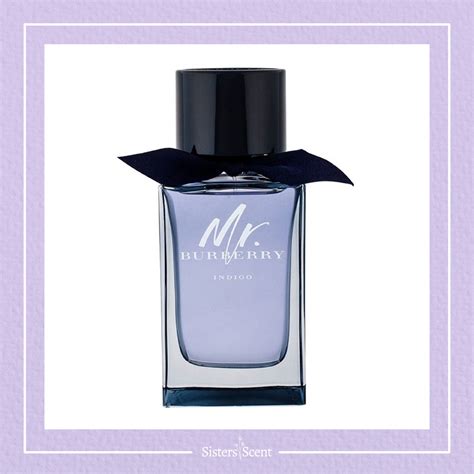 mr burberry indigo perfumania|mr Burberry edt 100ml.